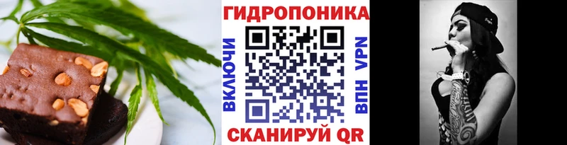 даркнет сайт  ОМГ ОМГ ссылки  Canna-Cookies конопля  Ижевск 