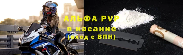 гашик Белокуриха